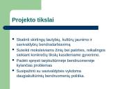 Kultūros projektas: nuo idėjos iki ataskaitos 19 puslapis