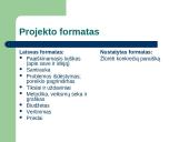 Kultūros projektas: nuo idėjos iki ataskaitos 3 puslapis