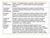 Kultūros samprata 2 puslapis