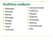 Kultūros samprata 3 puslapis