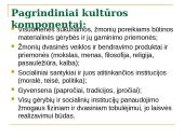 Kultūros samprata 4 puslapis