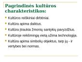 Kultūros samprata 6 puslapis