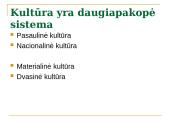 Kultūros samprata 7 puslapis