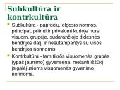 Kultūros samprata 8 puslapis