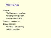 Lietuvos Didžioji Kunigaikštystė (LDK) luominės monarchijos laikotarpiu 5 puslapis