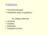 Lietuvos Didžioji Kunigaikštystė (LDK) luominės monarchijos laikotarpiu 6 puslapis