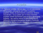 Lietuvos ir pasaulio rekordai 13 puslapis