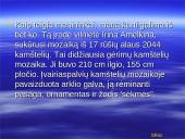 Lietuvos ir pasaulio rekordai 19 puslapis