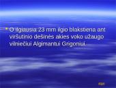 Lietuvos ir pasaulio rekordai 5 puslapis