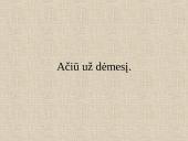 Lietuvos nepriklausomybės idėja ir jos įgyvendinimas XX amžiaus pradžioje 14 puslapis