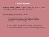 Lietuvos Respublikos švietimo sistema ir reformos 11 puslapis