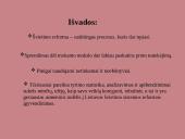 Lietuvos Respublikos švietimo sistema ir reformos 18 puslapis