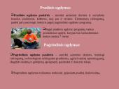 Lietuvos Respublikos švietimo sistema ir reformos 5 puslapis