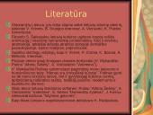 Lietuvos tarpukario kultūra 12 puslapis