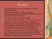 Lietuvos tarpukario kultūra 17 puslapis