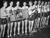 Lietuvos ūkio ir kultūros laimėjimai 17 puslapis