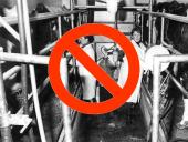 Lietuvos ūkio ir kultūros laimėjimai 6 puslapis