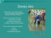 Lietuvos ūkis ir jo tipai 4 puslapis