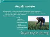 Lietuvos ūkis ir jo tipai 5 puslapis