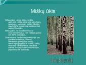 Lietuvos ūkis ir jo tipai 7 puslapis
