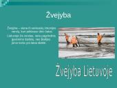 Lietuvos ūkis ir jo tipai 8 puslapis
