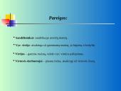 Ligoninės maitinimo sistemos reorganizavimo projektas 12 puslapis