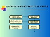 Ligoninės maitinimo sistemos reorganizavimo projektas 16 puslapis