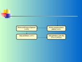 Ligoninės maitinimo sistemos reorganizavimo projektas 17 puslapis