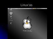 Linux Mandrake 10.1 13 puslapis