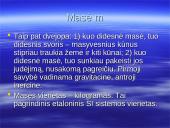 Mechanikos mokslo pagrindai 17 puslapis