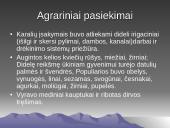 Mesopotamijos civilizacija 3500m. – 539m.pr. Kr. 10 puslapis