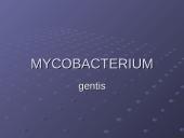 Mycobacterium gentis