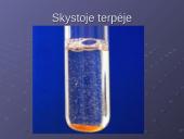 Mycobacterium gentis 11 puslapis