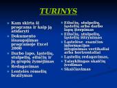 Microsoft Excel 2000 2 puslapis