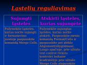 Microsoft Excel 2000 11 puslapis