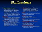 Microsoft Excel 2000 13 puslapis