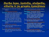 Microsoft Excel 2000 5 puslapis