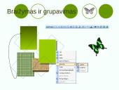 Microsoft PowerPoint pateiktys 14 puslapis