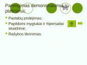 Microsoft PowerPoint pateiktys 19 puslapis