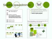 Microsoft PowerPoint pateiktys 20 puslapis