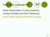 Microsoft PowerPoint pateiktys 3 puslapis