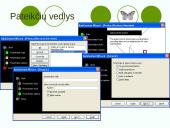 Microsoft PowerPoint pateiktys 4 puslapis