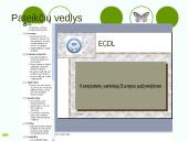 Microsoft PowerPoint pateiktys 5 puslapis