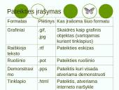 Microsoft PowerPoint pateiktys 8 puslapis