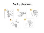 Mikroorganizmų kontrolė 12 puslapis