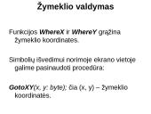Modulis Crt 19 puslapis
