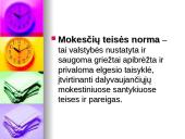 Mokesčių teisės normos 3 puslapis