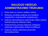 Viešojo administravimo valdymo pokyčiai 11 puslapis