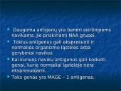 Navikas ir organizmo imunitetas, antigeninės navikų savybės, nesavitasis organizmo atsparumas navikams  14 puslapis