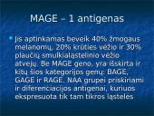 Navikas ir organizmo imunitetas, antigeninės navikų savybės, nesavitasis organizmo atsparumas navikams  15 puslapis